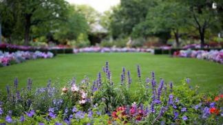 Creating continuously blooming flower beds